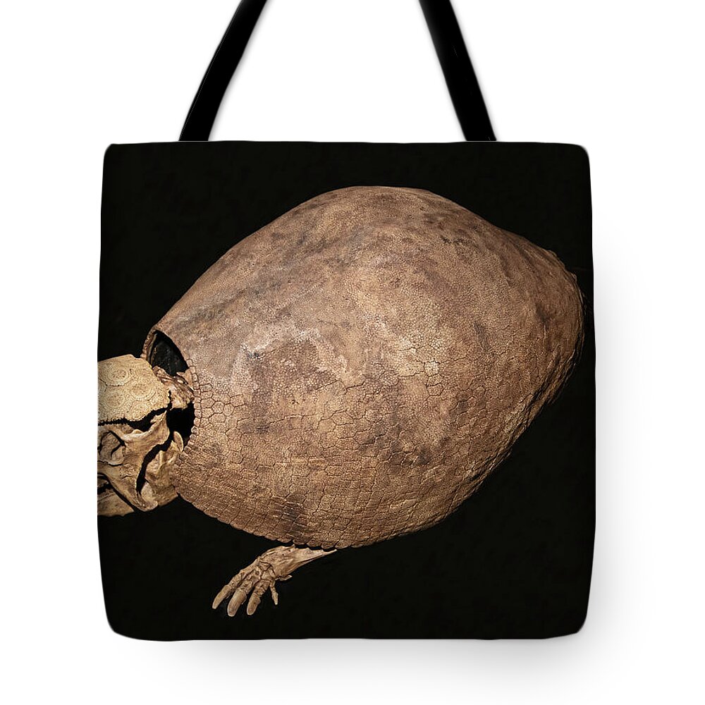 Prehistory Tote Bag featuring the photograph Ss21037724 by Millard H. Sharp