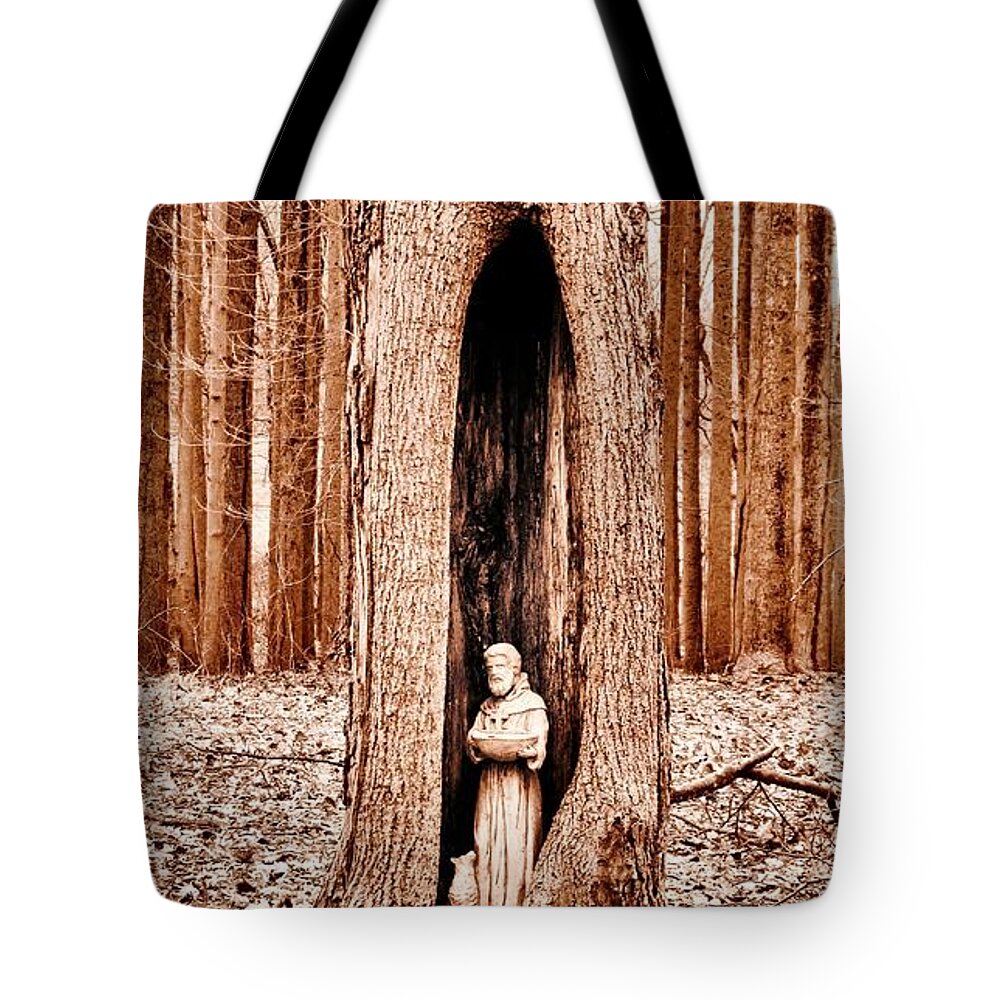 Saint Tote Bag featuring the photograph St Francis Forest Saints by Art Dingo
