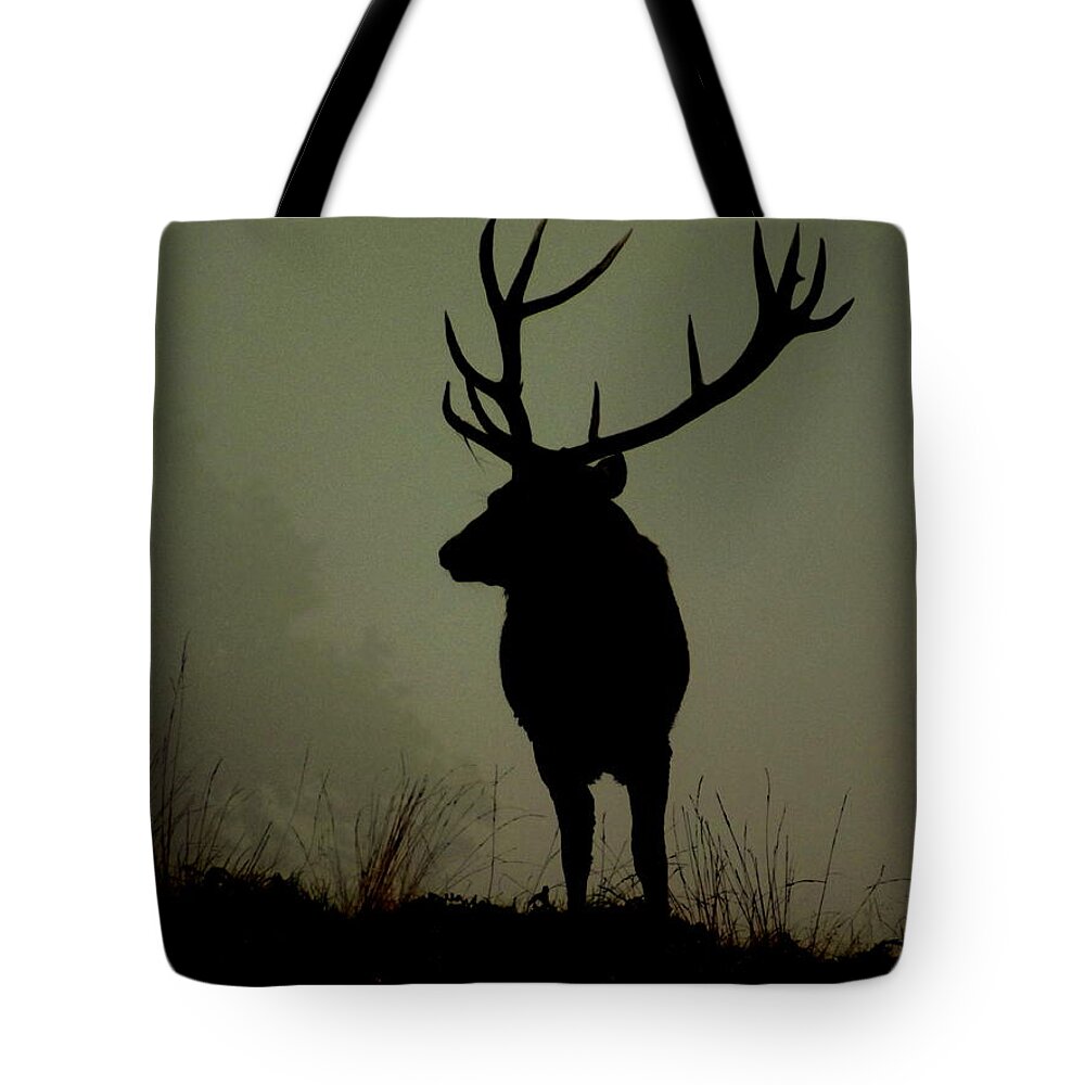 Stag Tote Bag featuring the photograph Stag-ering view by Linsey Williams