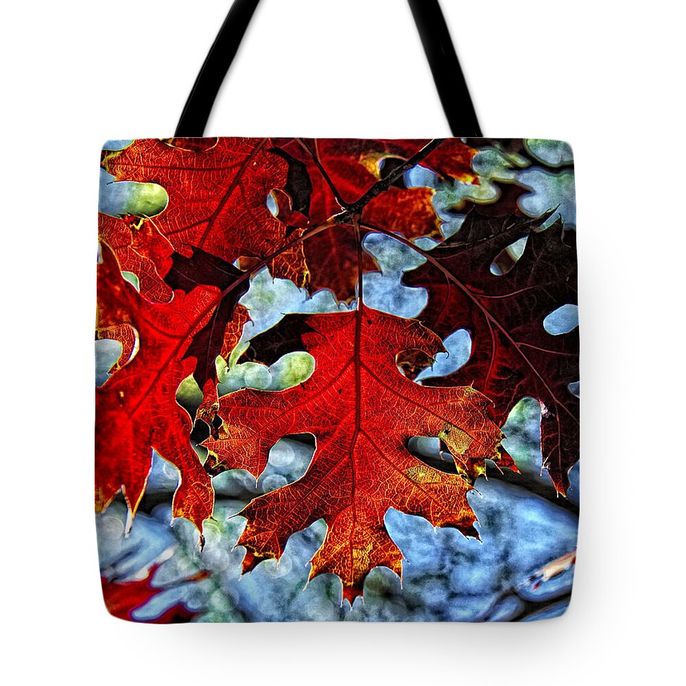 Fall Colors Canvas Print Tote Bag featuring the photograph Stained Glass by Lucy VanSwearingen