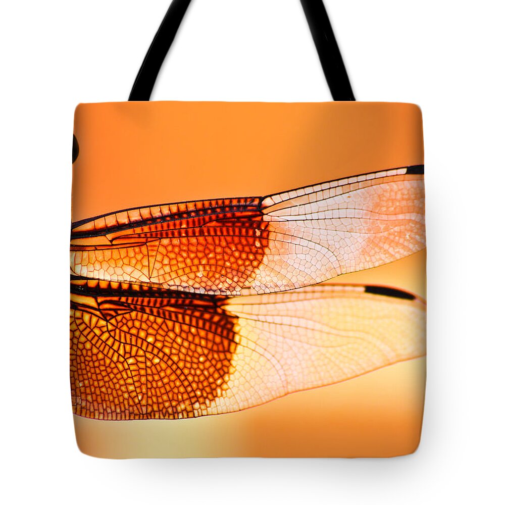 Dragonfly Tote Bag featuring the photograph Stained Glass by Mark Alder