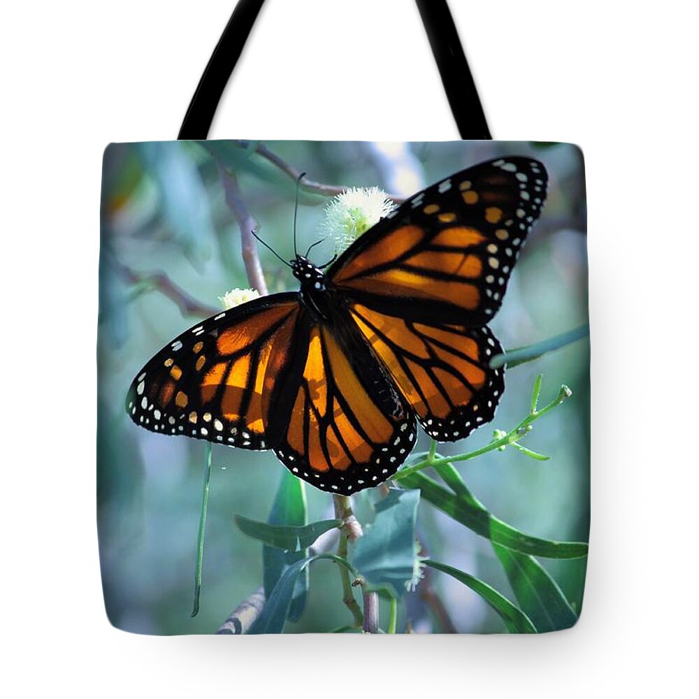 Butterfly Tote Bag featuring the photograph Stained Glass Wings by Marcia Breznay