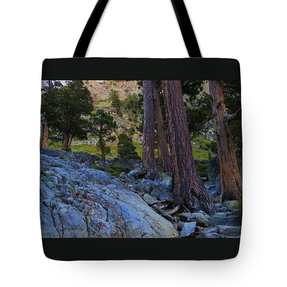 Lake Tahoe Tote Bag featuring the photograph Stairway to Heaven by Sean Sarsfield