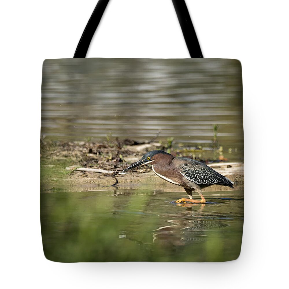 Heron Tote Bag featuring the photograph Stalking by Betty Depee