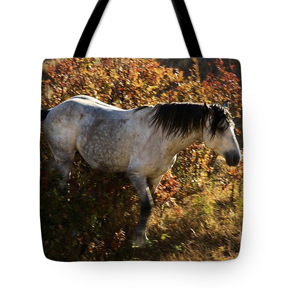 Theodore Roosevelt National Park Tote Bag featuring the photograph Stallion Of The Badlands by Adam Jewell