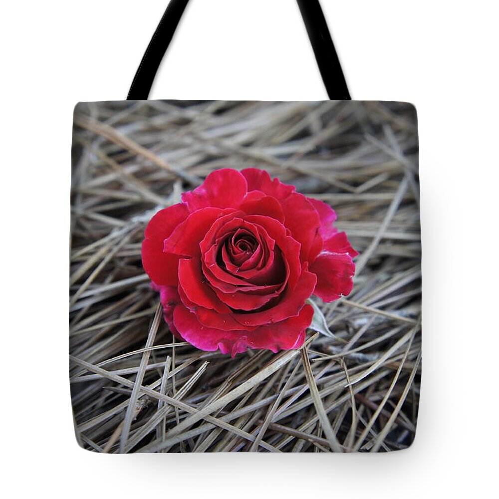 Fallen Red Rose Tote Bag featuring the photograph Stand Out by Laurie Perry