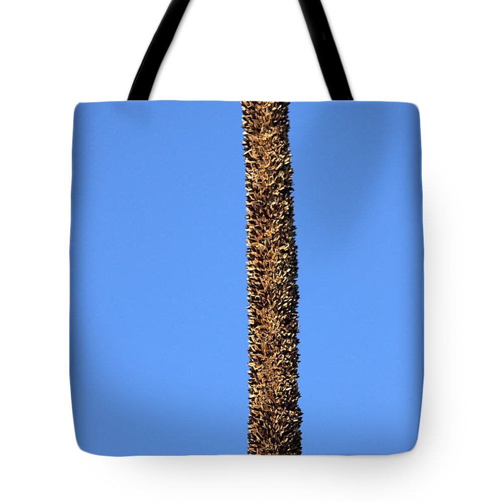 Grass Tree Tote Bag featuring the photograph Standing alone by Miroslava Jurcik