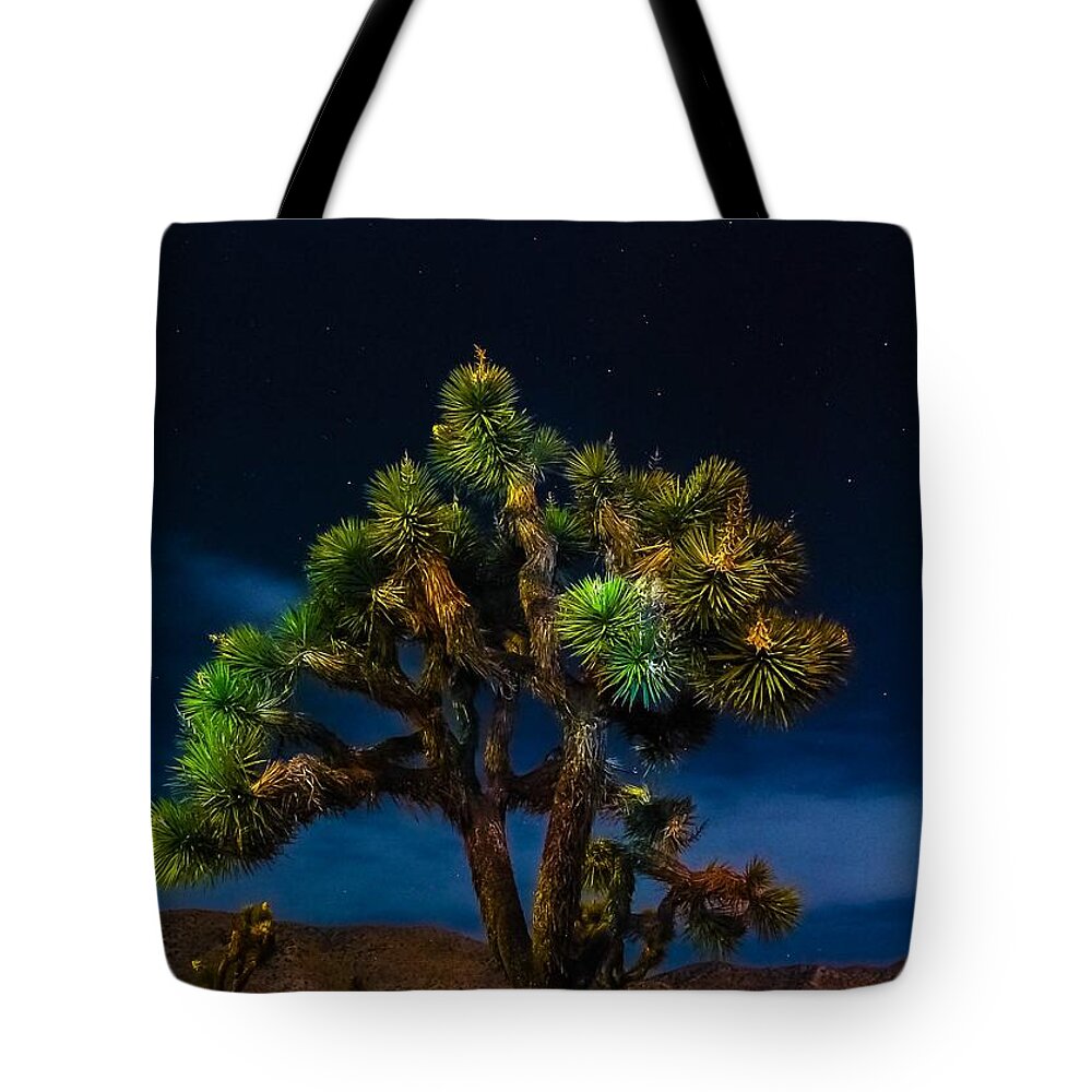 Desert Moon Tote Bag featuring the photograph Standing by Angela J Wright