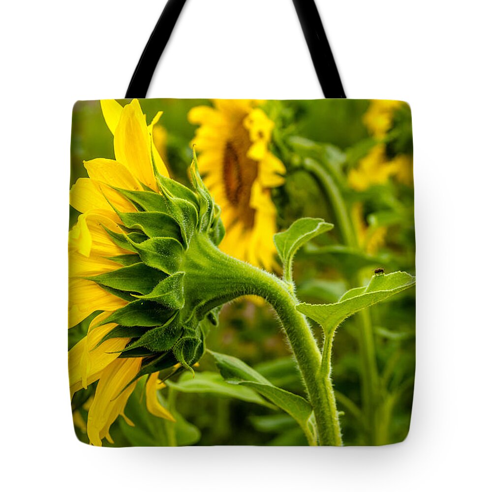 Agriculture Tote Bag featuring the photograph Standing at Attention by Teri Virbickis