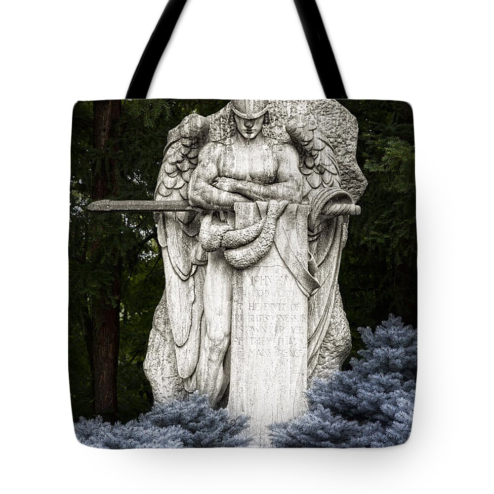Lake View Tote Bag featuring the photograph Standing Guard by Tom Mc Nemar
