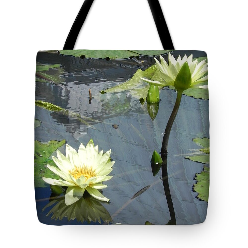 Photography Tote Bag featuring the photograph Standing Tall With Beauty by Chrisann Ellis