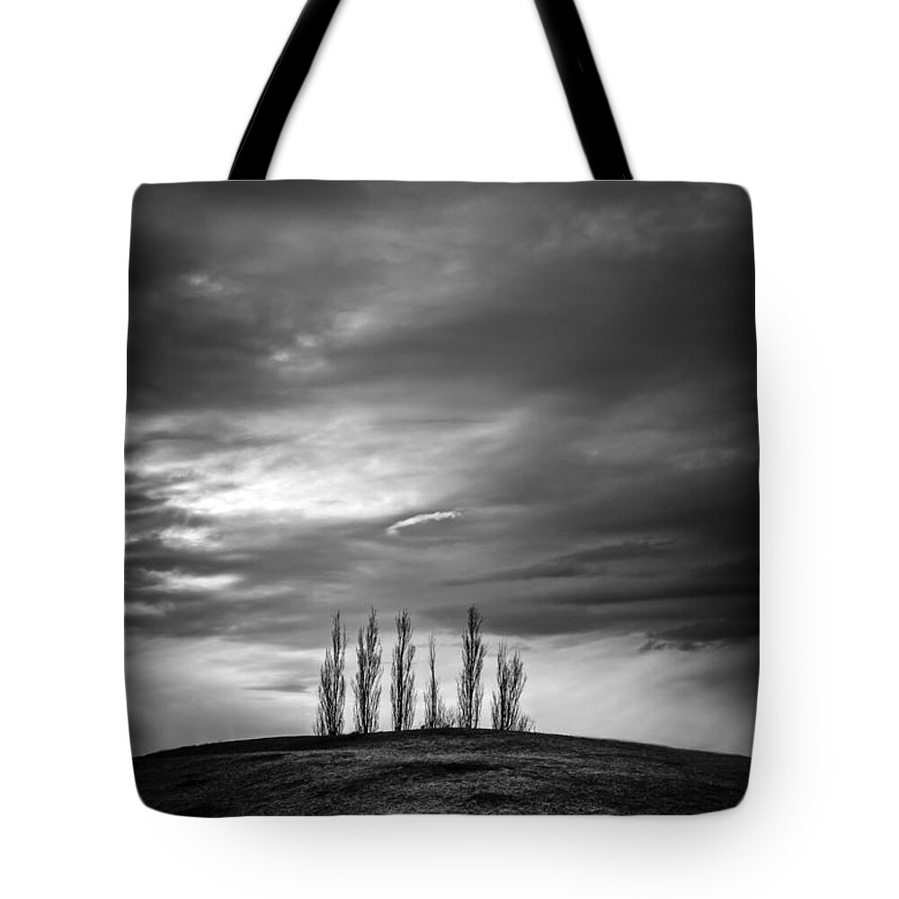 Trees Tote Bag featuring the photograph Standing Up by Sandra Parlow