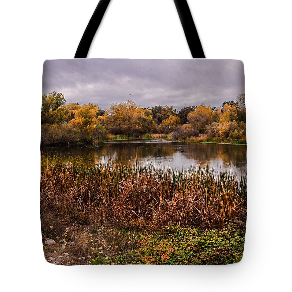Water Tote Bag featuring the photograph Stanislaus Watershed by Mark Robert Bein