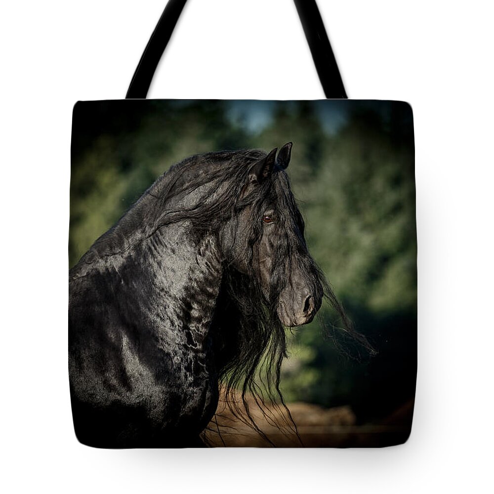Star Stallion Tote Bag featuring the photograph Star Stallion by Wes and Dotty Weber