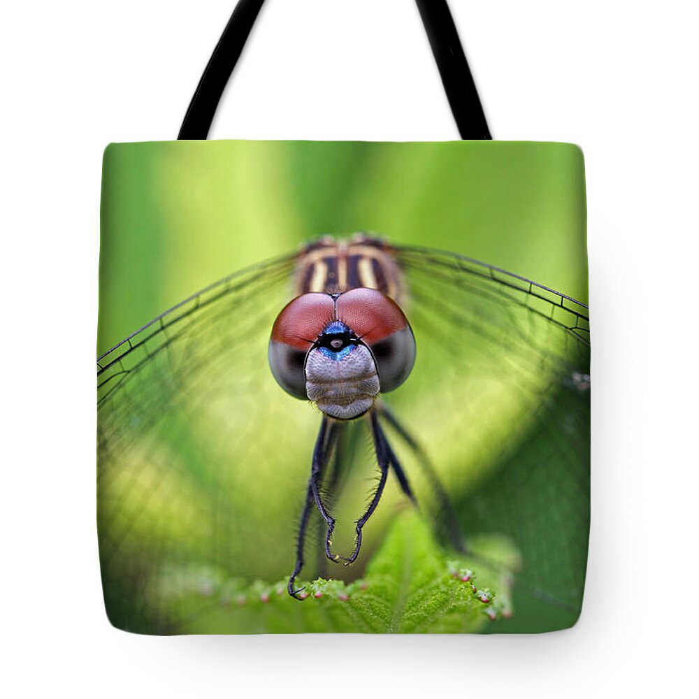 Dragonfly Tote Bag featuring the photograph Staring Contest by Juergen Roth