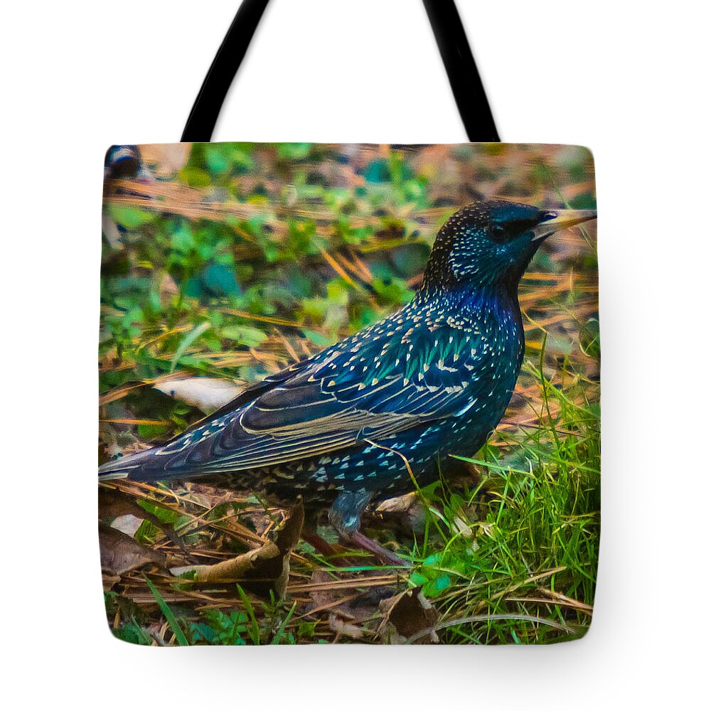European Starling Tote Bag featuring the photograph Stars come out in the daytime too by Robert L Jackson