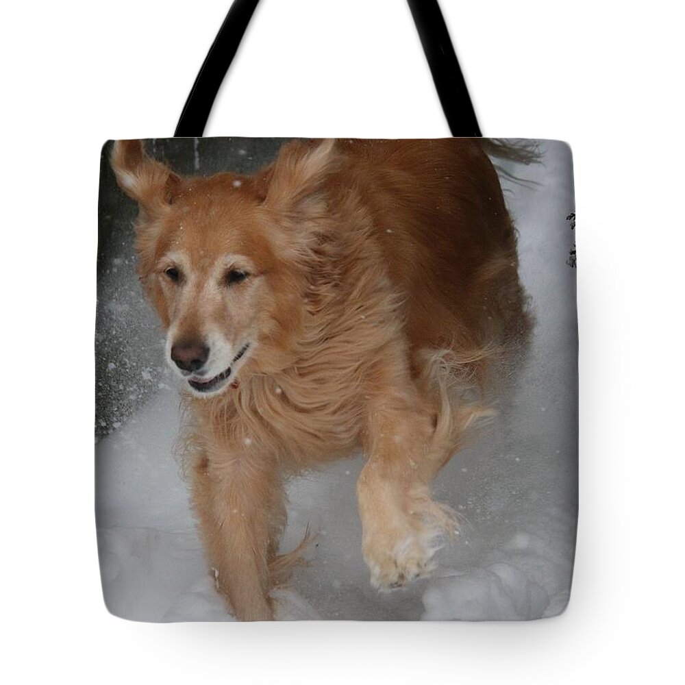 Dogs Tote Bag featuring the photograph Start Gate by Veronica Batterson