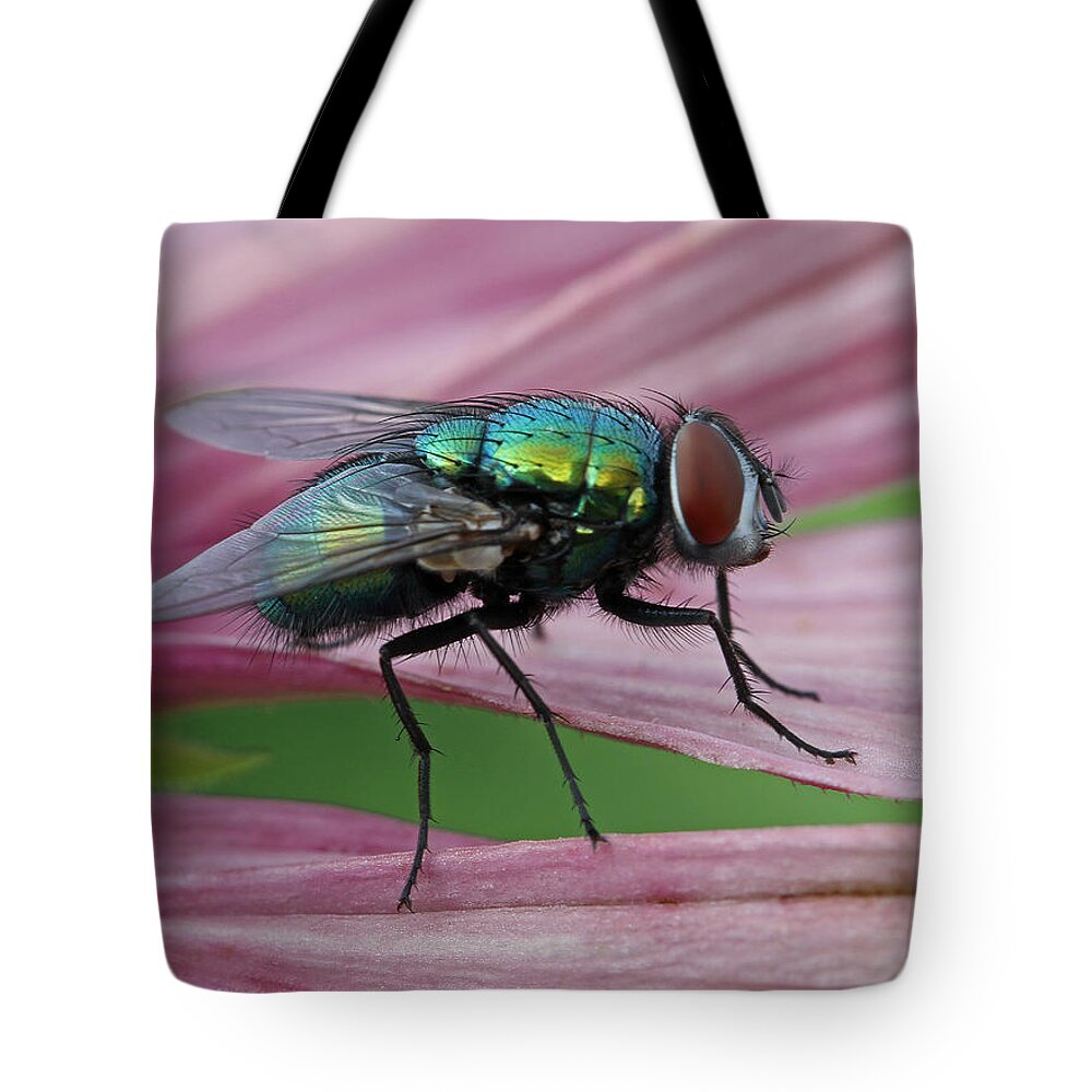 Fly Tote Bag featuring the photograph Start Your Engines by Juergen Roth