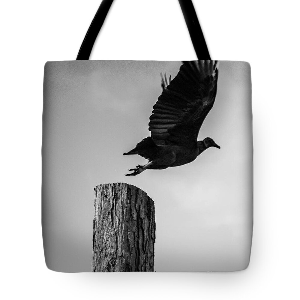Vulture Tote Bag featuring the photograph Startled #2 by Carlee Ojeda