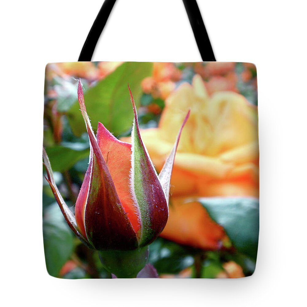 Bud Tote Bag featuring the photograph Starting Out by Rona Black