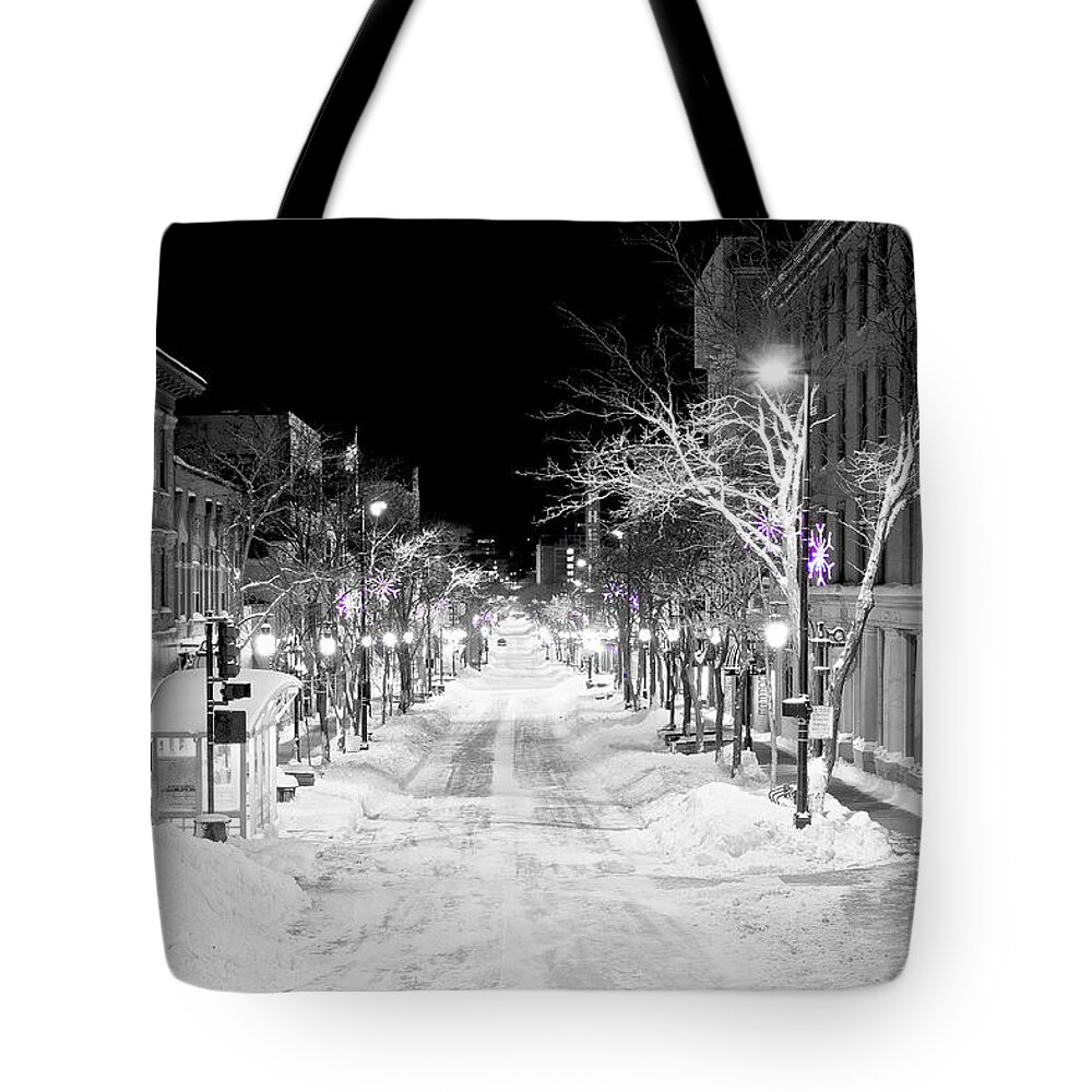 Capitol Tote Bag featuring the photograph State Street Madison by Steven Ralser