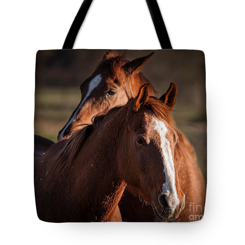 Horses Tote Bag featuring the photograph Stay Close by Ana V Ramirez