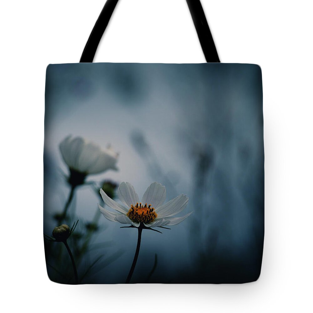 Stay With Me A While Tote Bag featuring the photograph Stay With Me a While by Yuka Kato