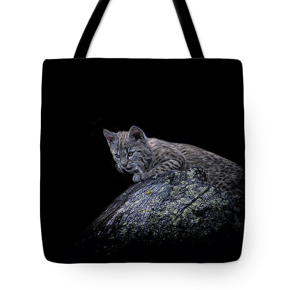 Crystal Yingling Tote Bag featuring the photograph Stealth by Ghostwinds Photography