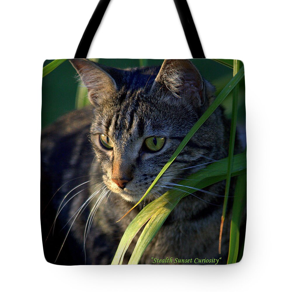 Stealth Sunset Curiosity Tote Bag featuring the photograph Stealth Sunset Curiosity by Patrick Witz