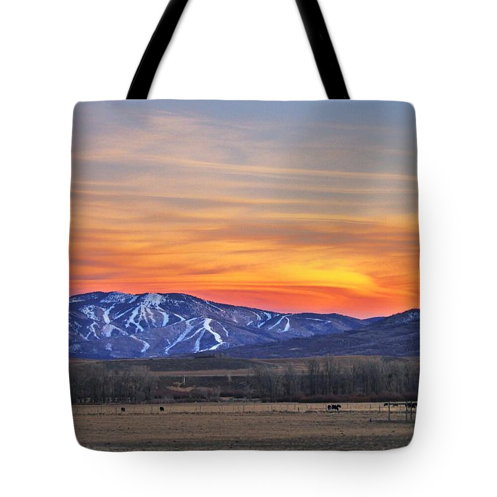 Steamboat Tote Bag featuring the photograph Steamboat Alpenglow by Matt Helm