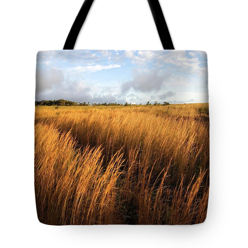 Hawaii Volcanoes National Park Tote Bag featuring the photograph Steaming Bluff Landscape by John Elk