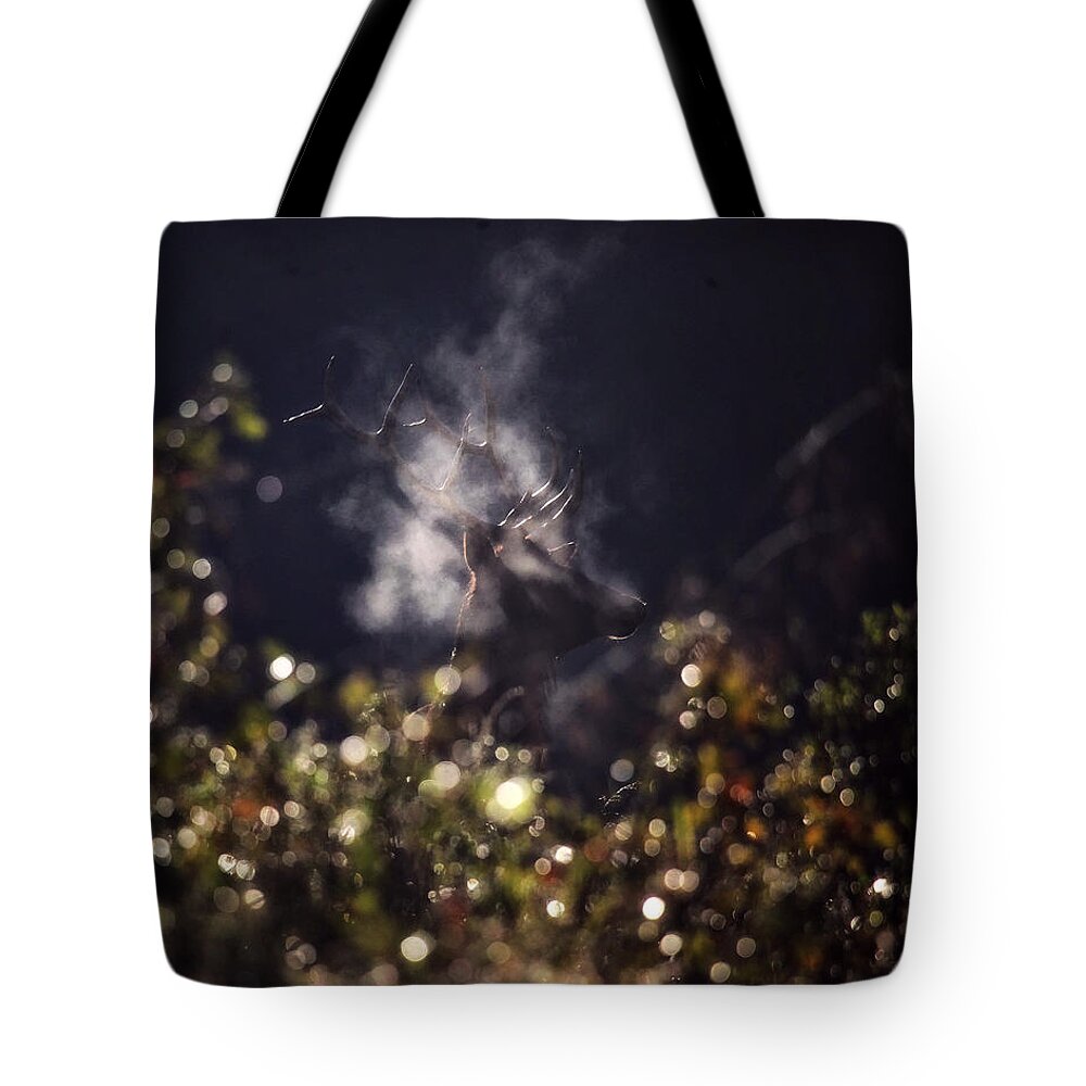 Bull Elk Tote Bag featuring the photograph Steaming Bull Elk with Iris Flare by Michael Dougherty