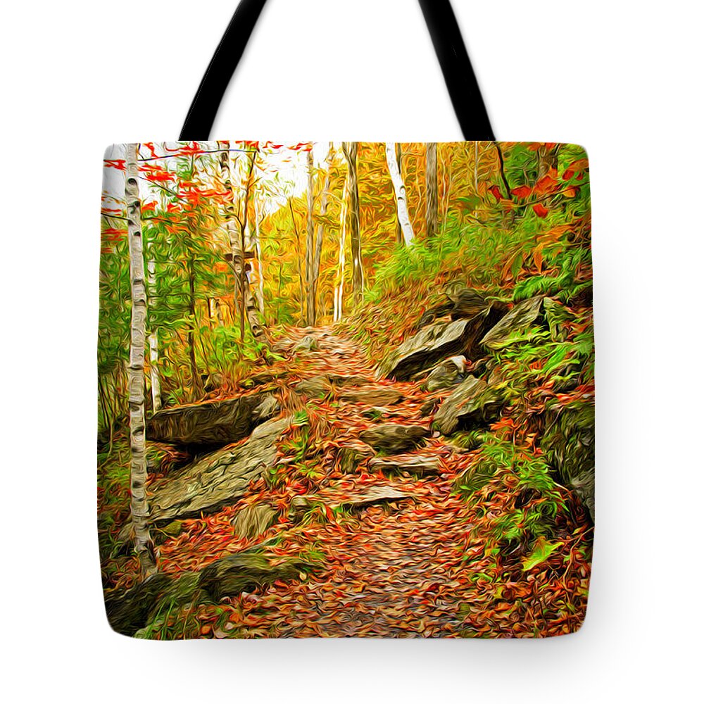Fall Tote Bag featuring the photograph Stepping Stones by Bill Howard