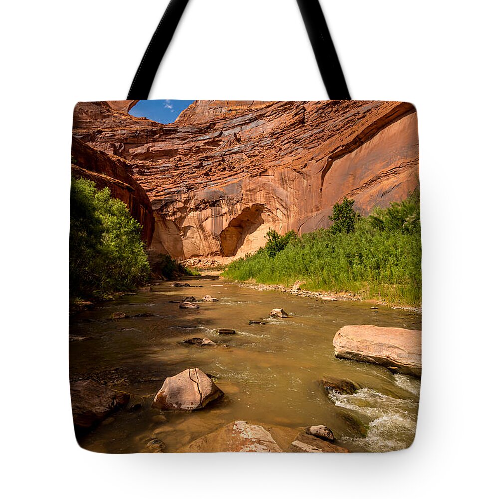 Stevens Arch Tote Bag featuring the photograph Stevens Arch - Escalante River - Utah by Gary Whitton