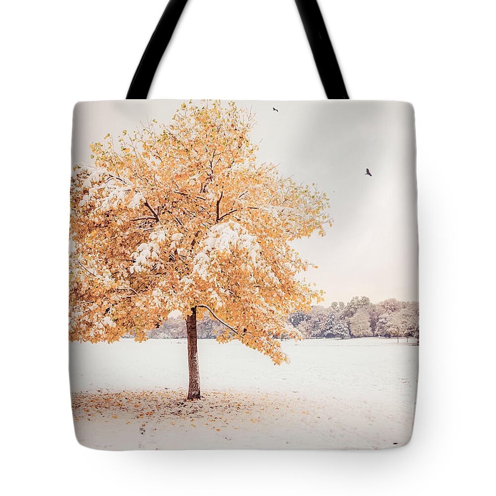 Autumn Tote Bag featuring the photograph Still Dressed In Fall by Hannes Cmarits