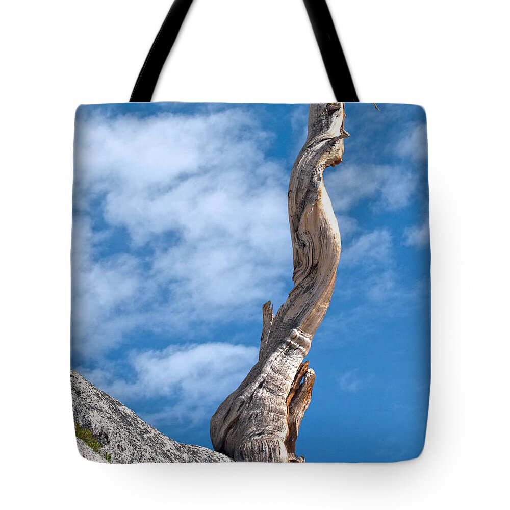 Olmsted Point Tote Bag featuring the photograph Still Standing #2 by Joe Schofield