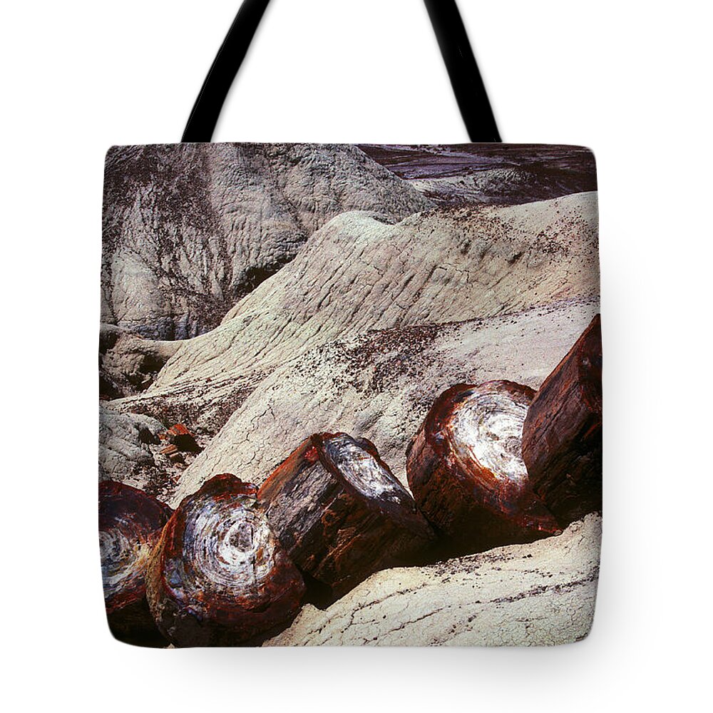F3-waz-0360 Tote Bag featuring the photograph Stone Trees - 360 by Paul W Faust - Impressions of Light