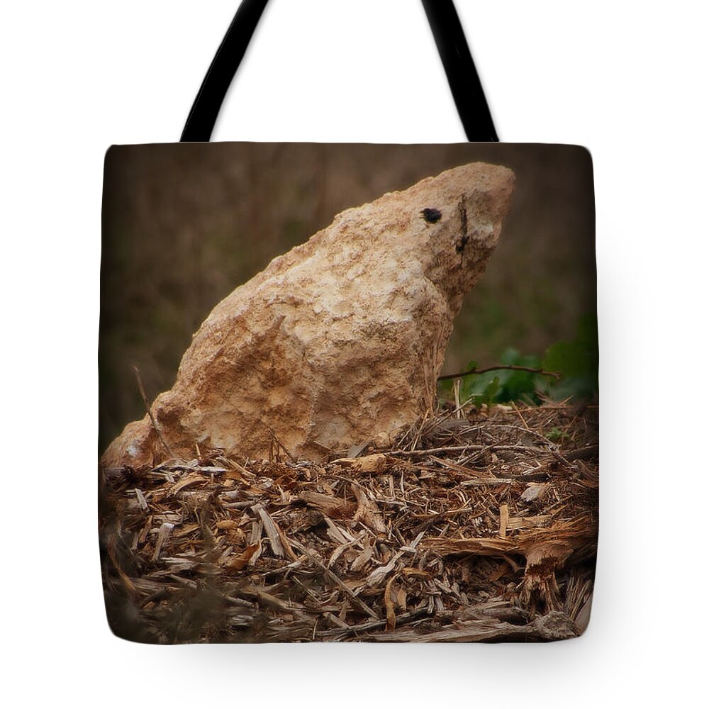 Animals And Earth Tote Bag featuring the photograph Stoned Nature by Doc Braham