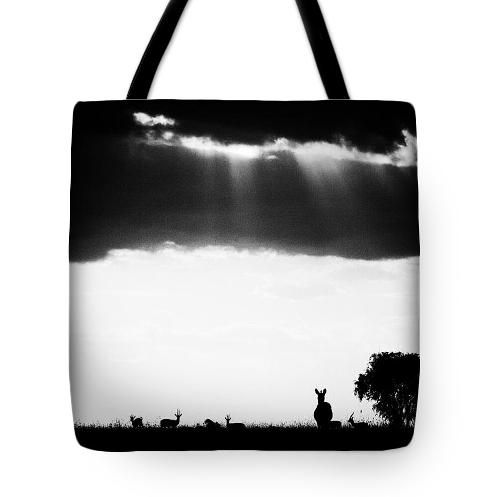Africa Tote Bag featuring the photograph Stormy Silhoettes by Mike Gaudaur