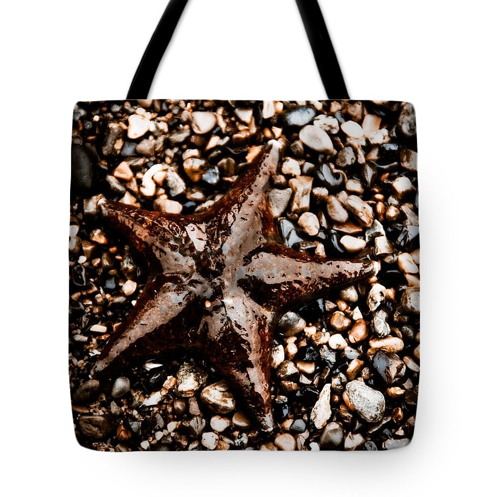 Beauty In Nature Tote Bag featuring the photograph Stranded Sea Star by Venetta Archer