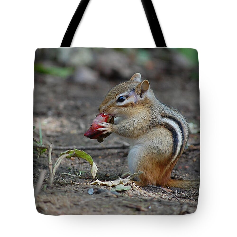 Animal Tote Bag featuring the photograph Strawberry Thief by Bianca Nadeau