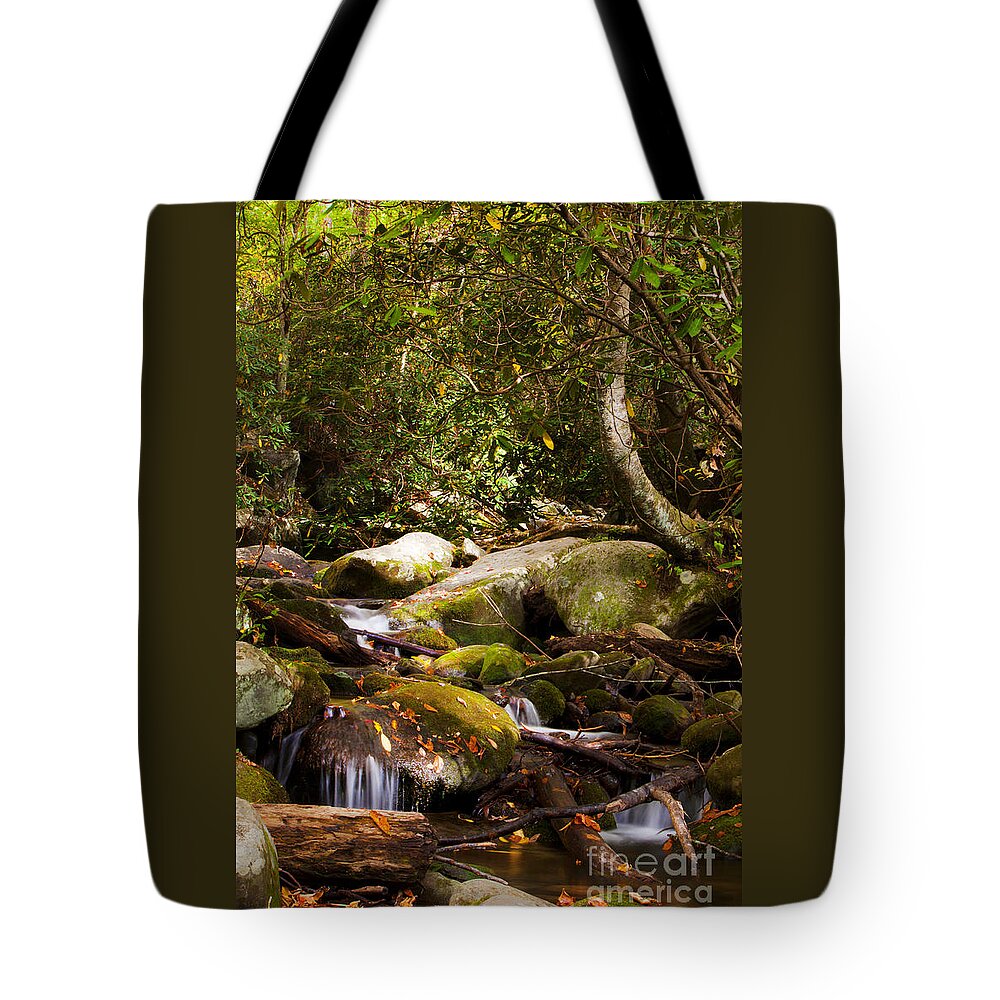 Stream Tote Bag featuring the photograph Stream at Roaring Fork by Lena Auxier