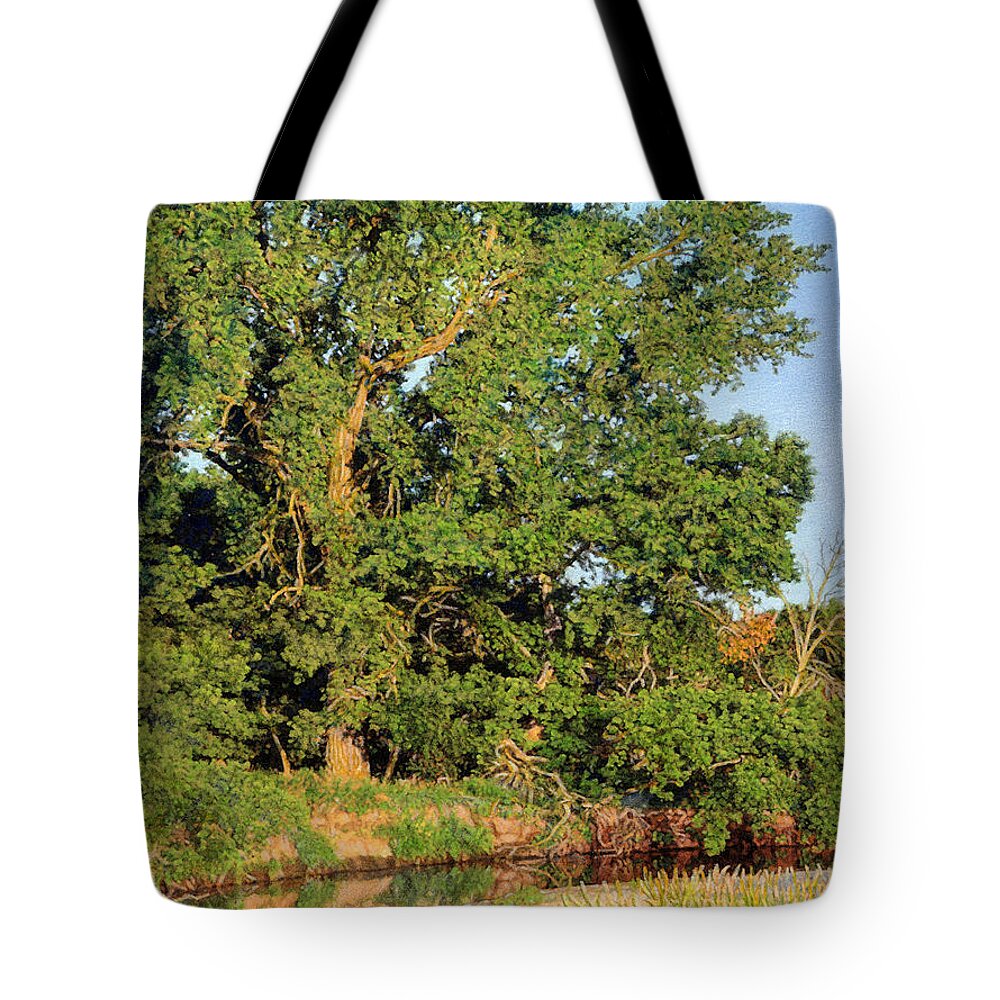 Trees. Streams Tote Bag featuring the drawing Streamside Cottonwood by Bruce Morrison