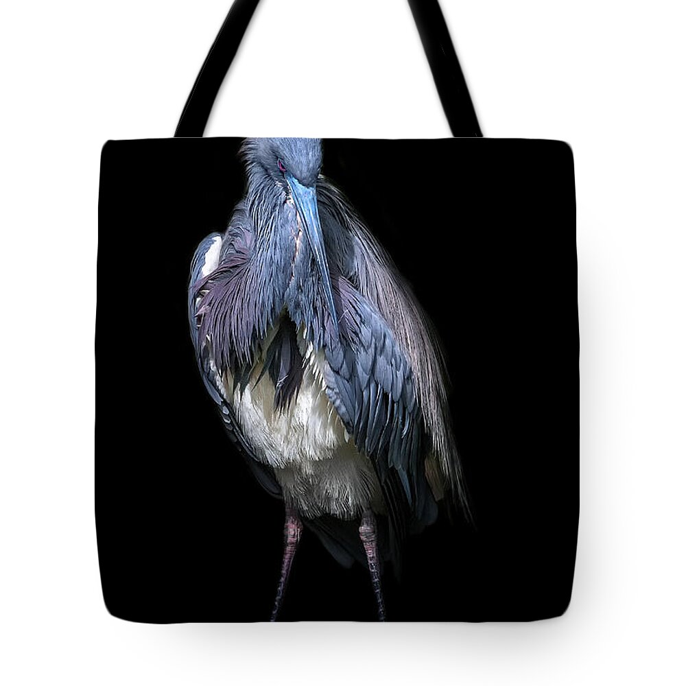 Crystal Yingling Tote Bag featuring the photograph Strike A Pose by Ghostwinds Photography