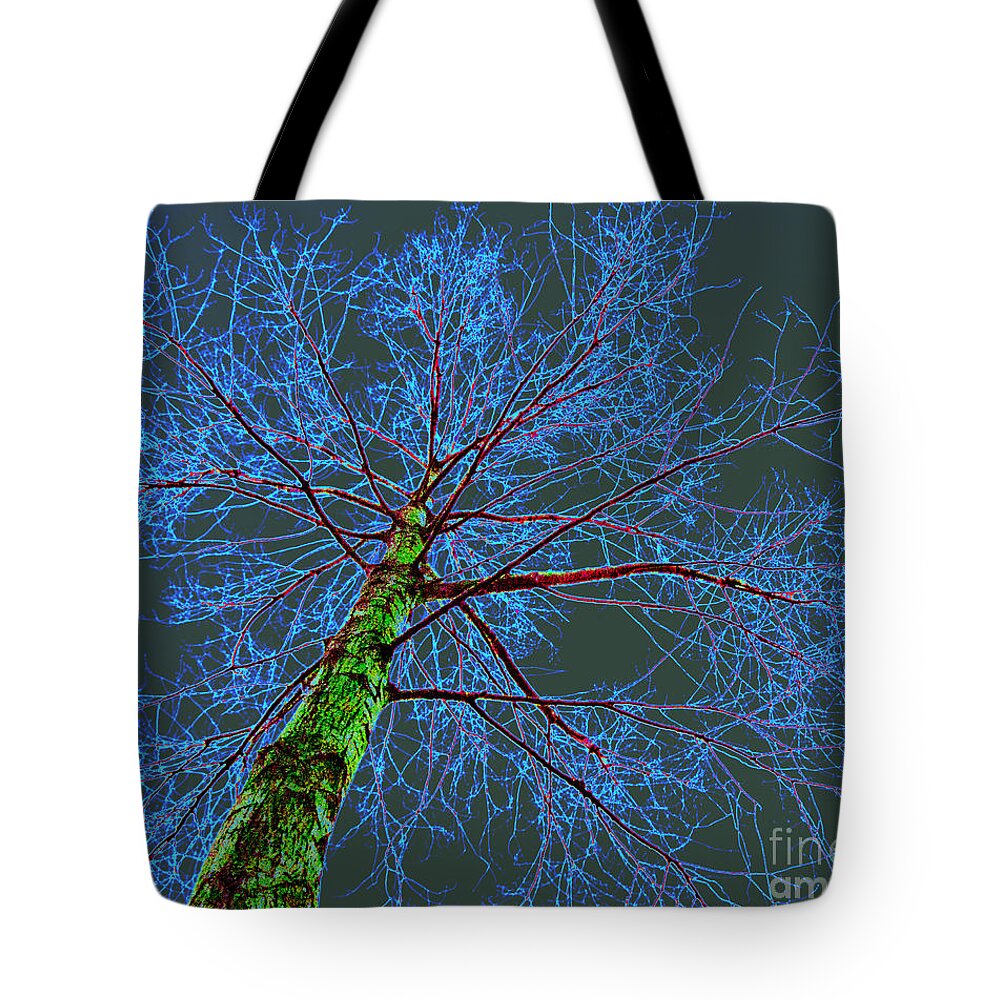 Landscape Tote Bag featuring the photograph Struck by Adriana Zoon