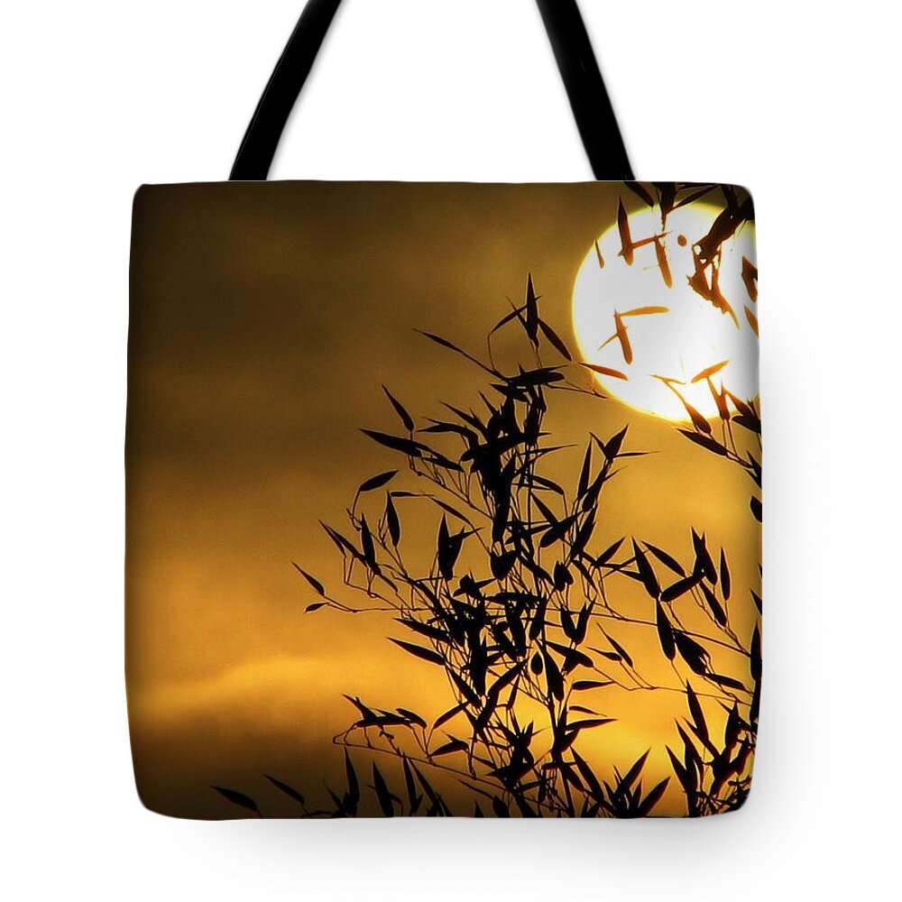 Sun Tote Bag featuring the photograph Stuck by Chris Dunn