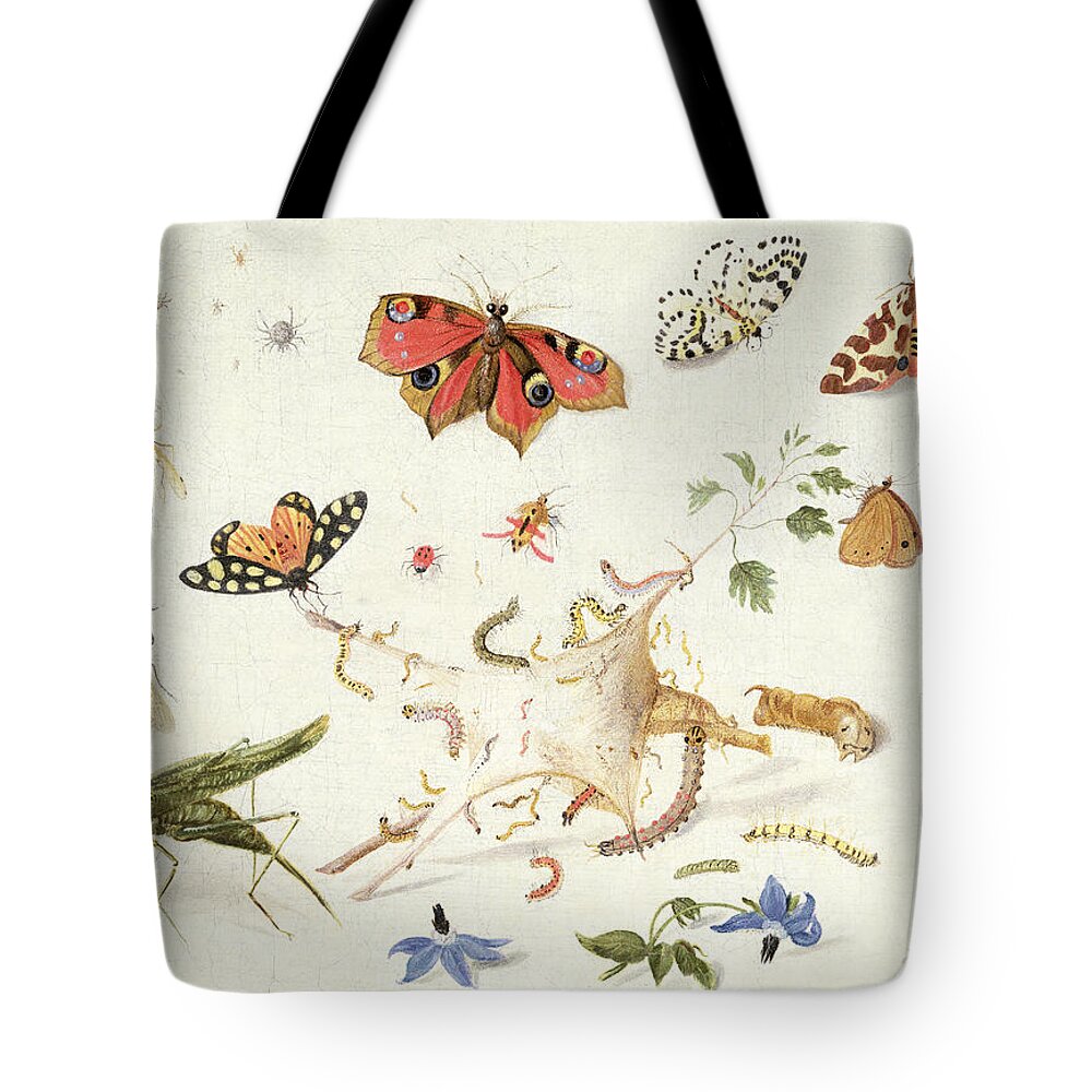 Insect Tote Bag featuring the painting Study of Insects and Flowers by Ferdinand van Kessel