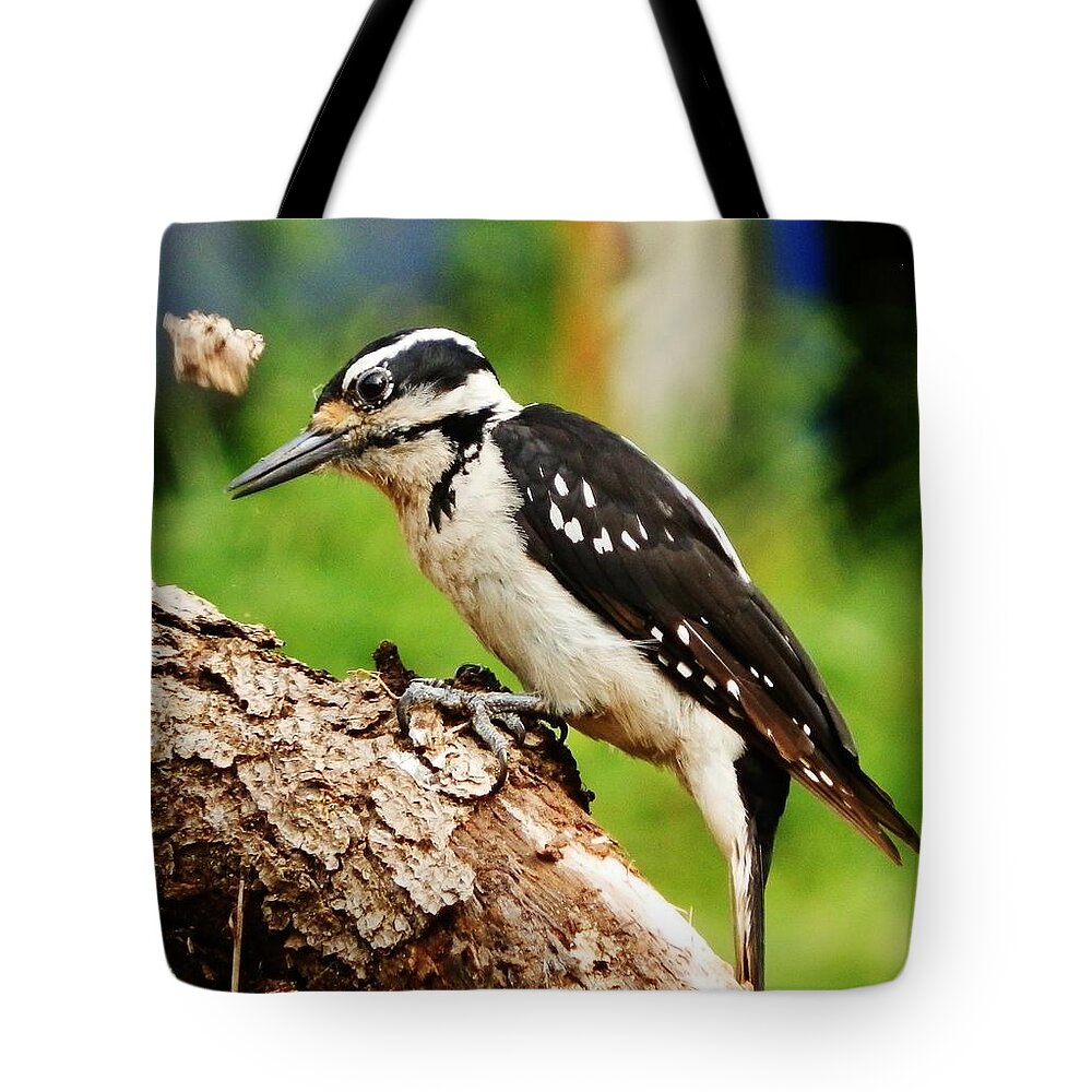 Bird Tote Bag featuring the photograph Stuff in the Way by VLee Watson