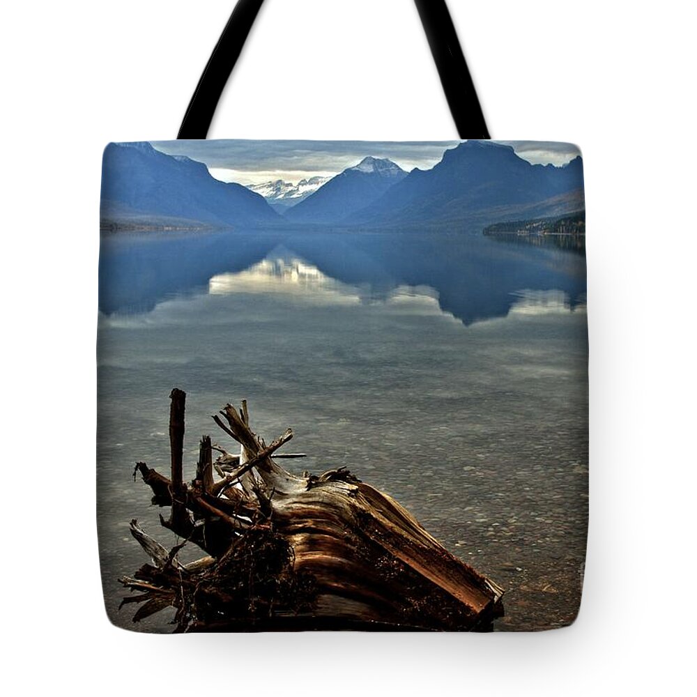 Glacier National Park Tote Bag featuring the photograph Stumped by Adam Jewell