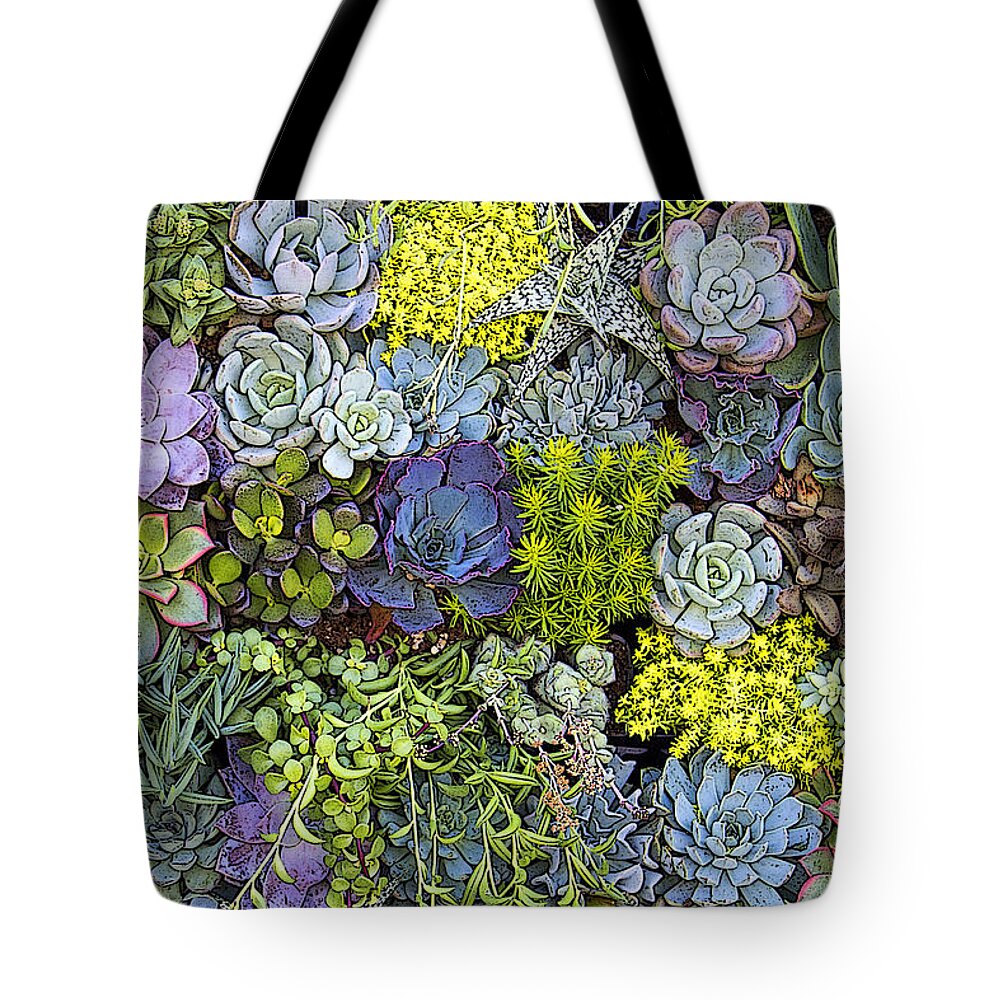 Succulent Tote Bag featuring the photograph Succulent Wall by Andre Aleksis